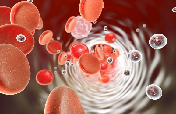 Animation Nanopartikel Im Vergleich Zu Bestandteilen Im Blut
